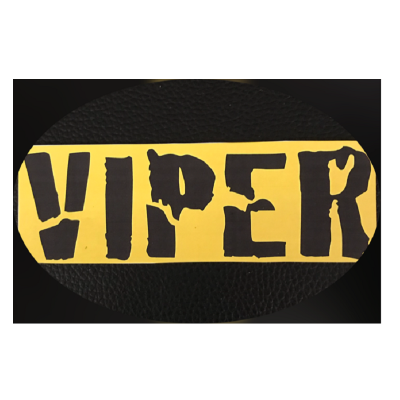 Only $15.95 to protect your valuable investment…Viper Security Technologies