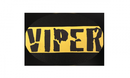 Only $15.95 to protect your valuable investment…Viper Security Technologies