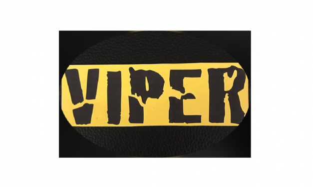 Only $15.95 to protect your valuable investment…Viper Security Technologies